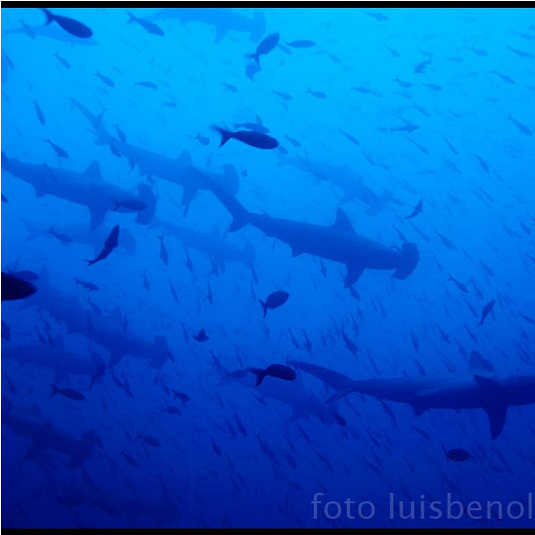 Mundo, mar y naturaleza 5